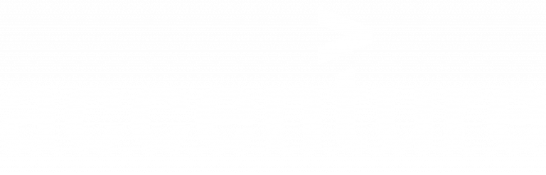 Accenture-logo-White